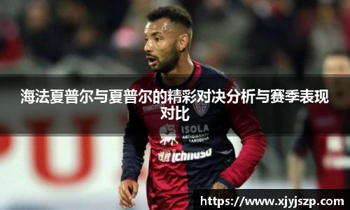 海法夏普尔与夏普尔的精彩对决分析与赛季表现对比